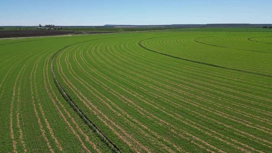 0 Bedroom Property for Sale in Douglas Rural Northern Cape